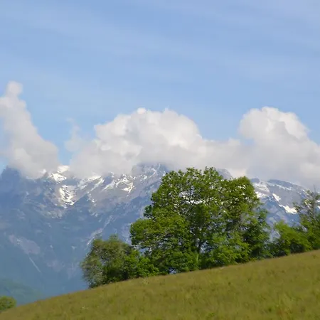 Alloggio per agriturismo Steinerhof