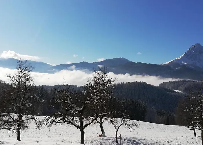 Steinerhof * ويرفنوينغ
