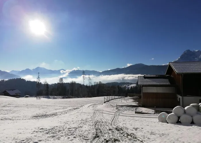 Steinerhof Lantgård