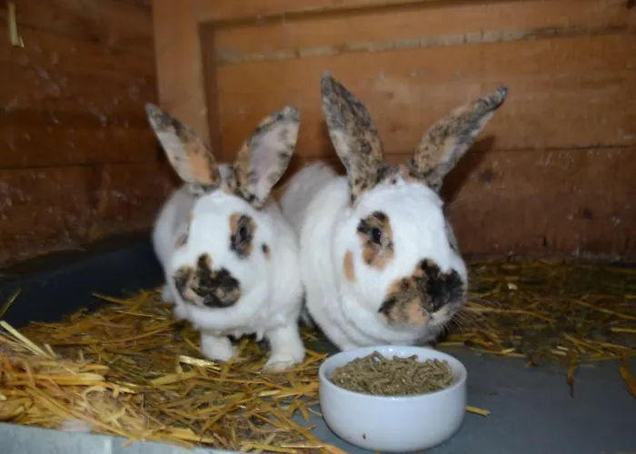 Lantgård Steinerhof *